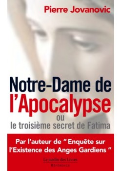 Notre-Dame de l'Apocalypse...