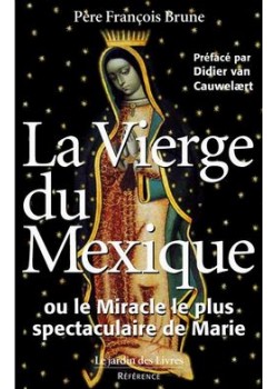 La Vierge du Mexique  ou...